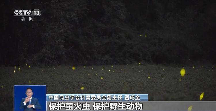 网传萤火虫濒临灭绝<strong></p>
<p>非小号行情</strong>，是真的吗？