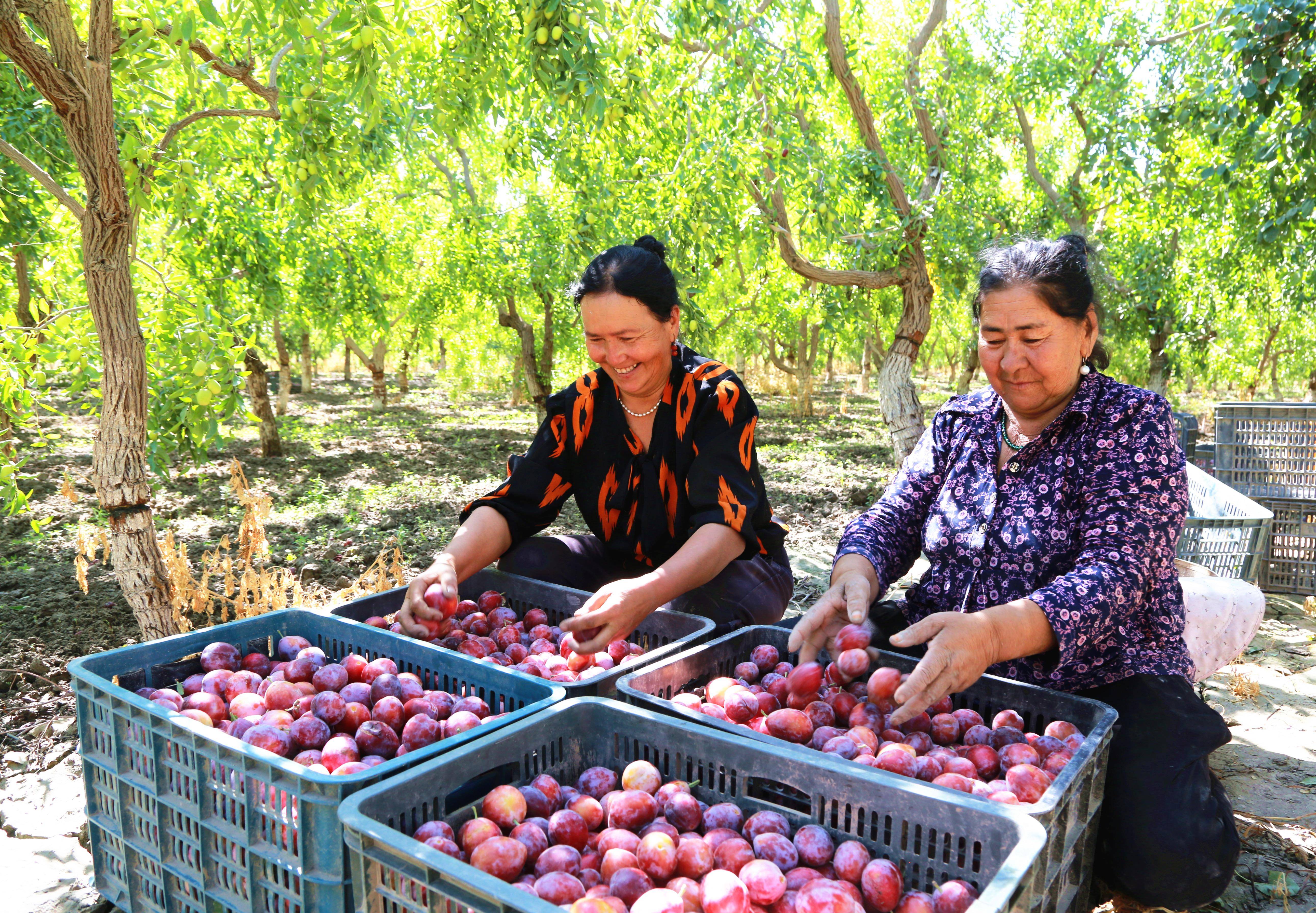 时政微观察丨大美新疆 气象万千