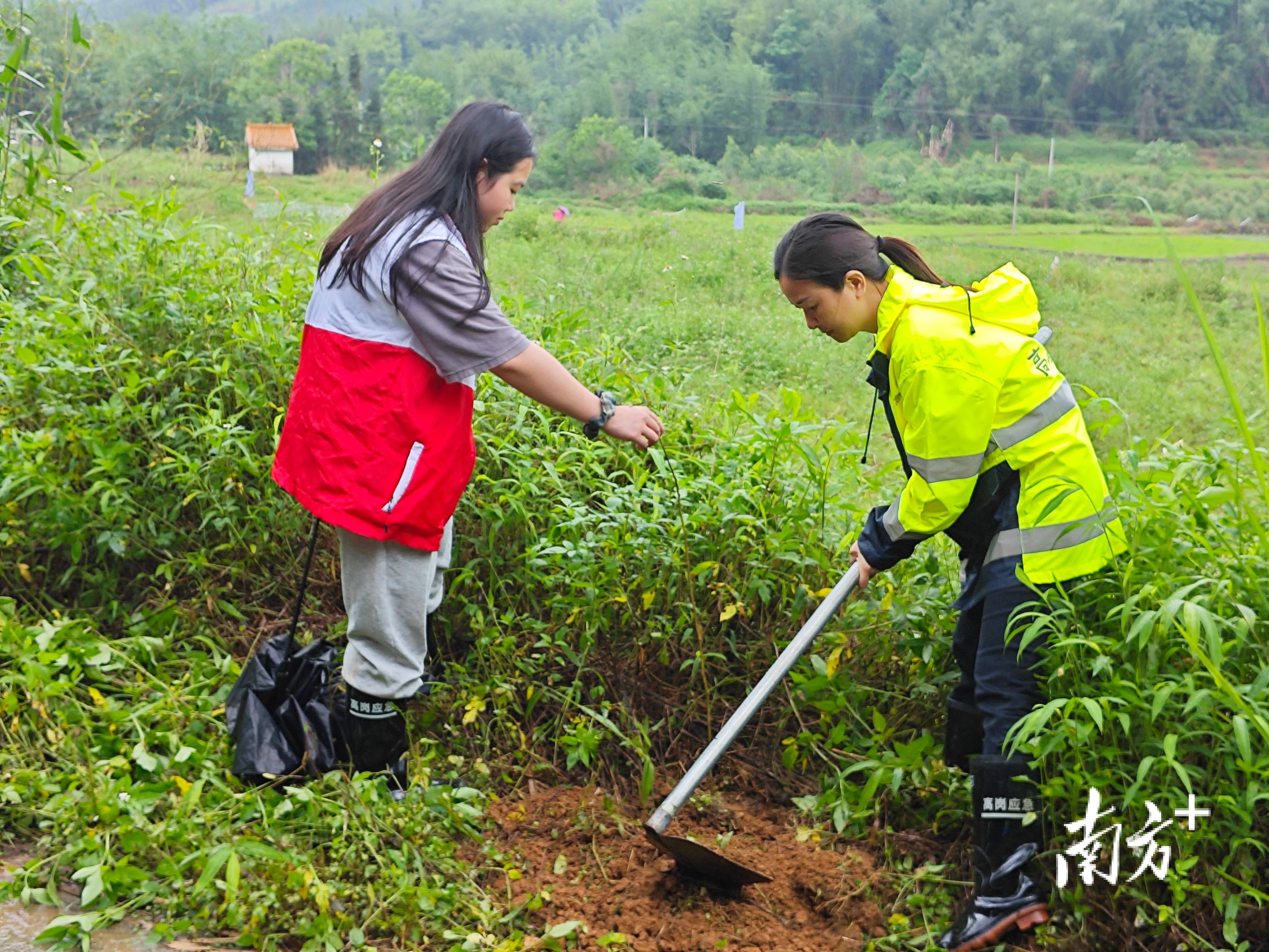 “外来媳妇”谭焕贞五年深耕<strong></p>
<p>加密货币</strong>,佛冈高岗宝山村换新貌