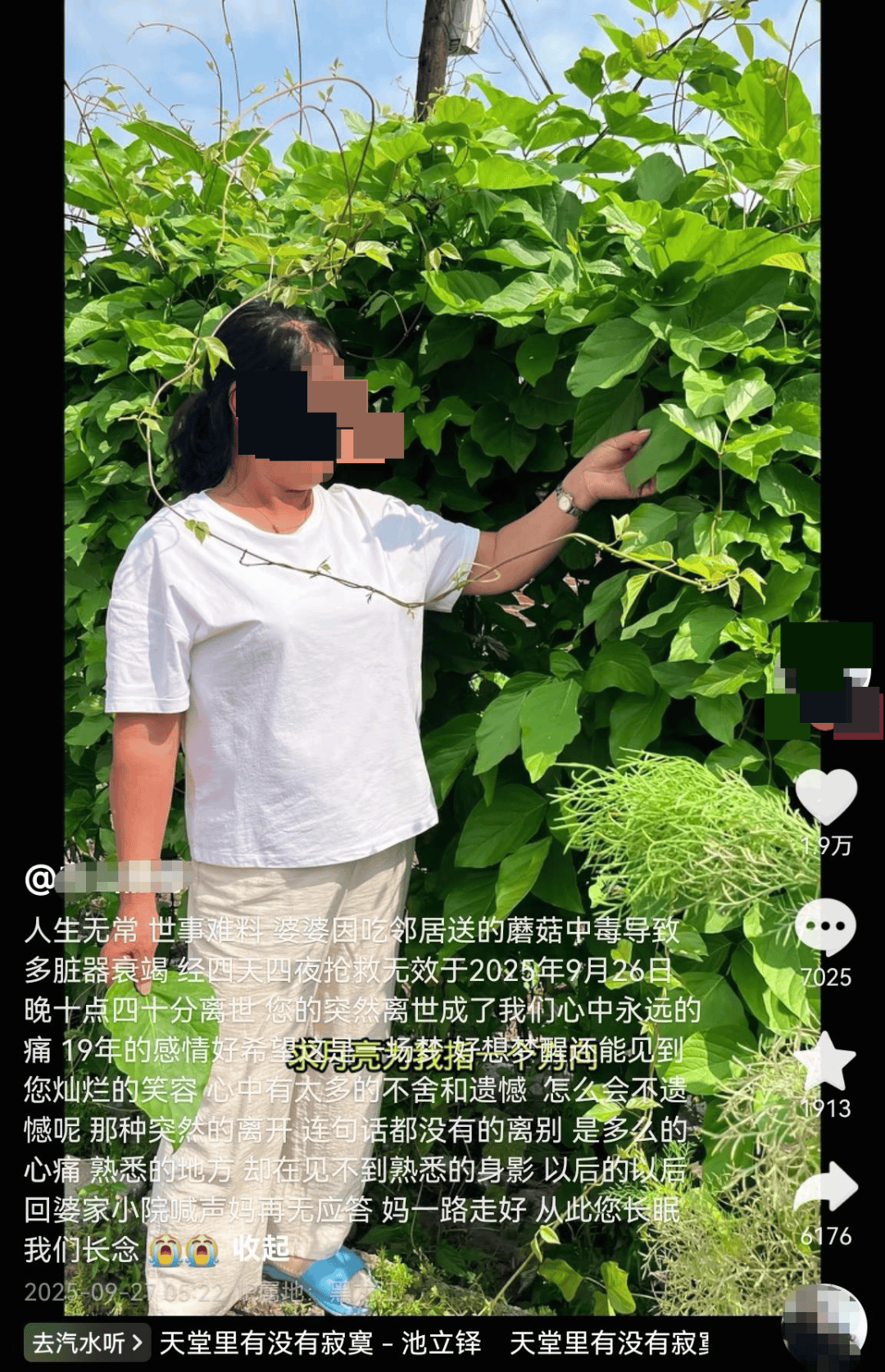 网红发文悼念婆婆:吃了邻居送的蘑菇中毒<strong></p>
<p>加密数字货币</strong>,抢救四天四夜死亡!这些蘑菇避毒原则可能是陷阱→