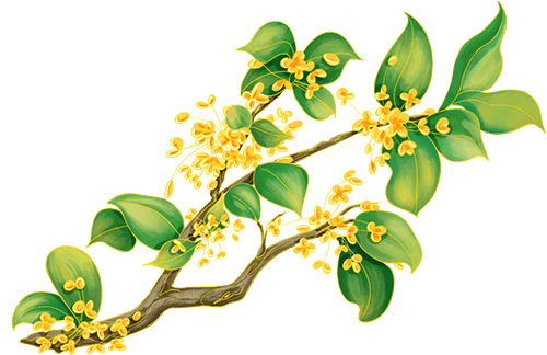 国庆、中秋假日期间天气预报新鲜出炉<strong></p>
<p>加密货币交易所</strong>!