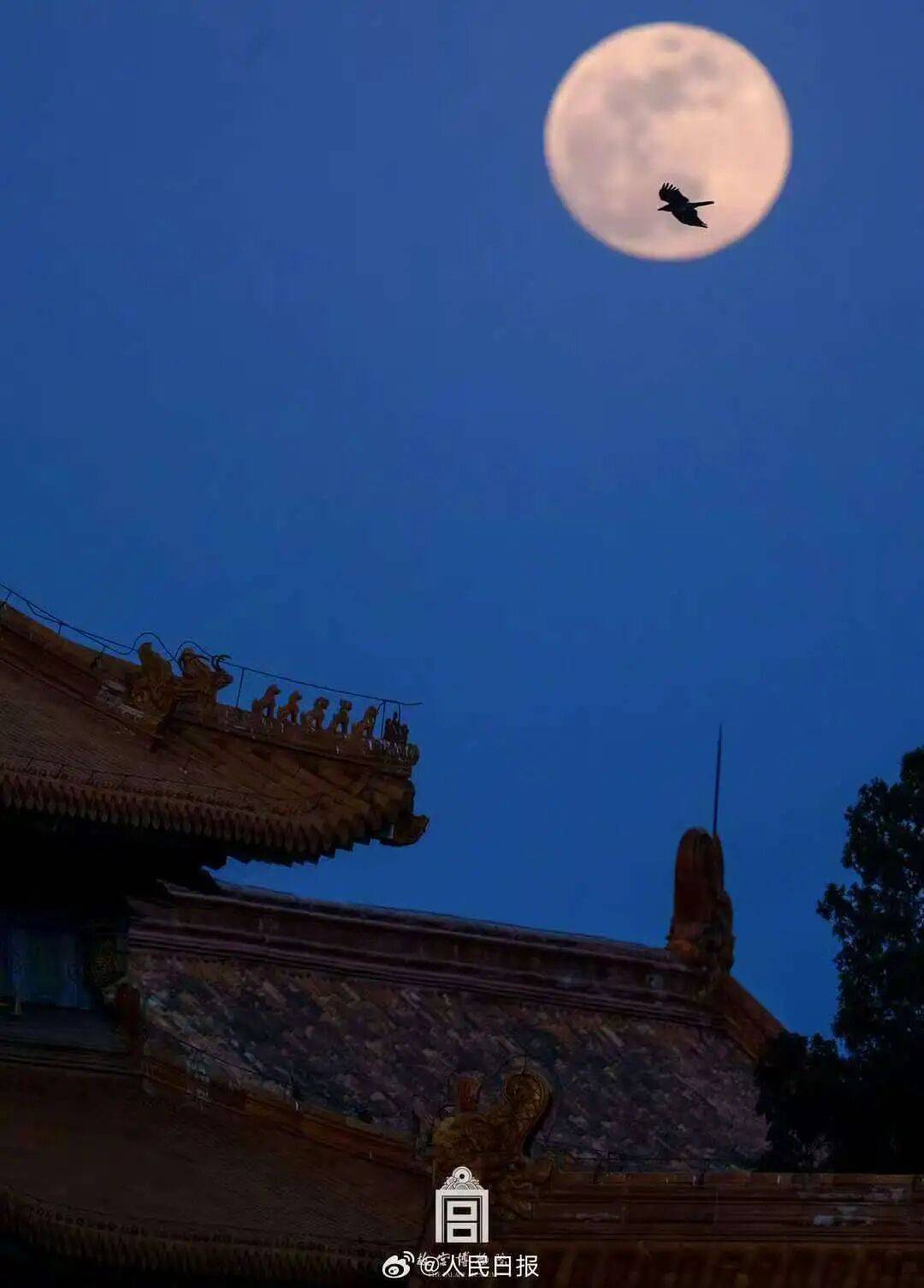 国庆、中秋假日期间天气预报新鲜出炉<strong></p>
<p>加密货币交易所</strong>!