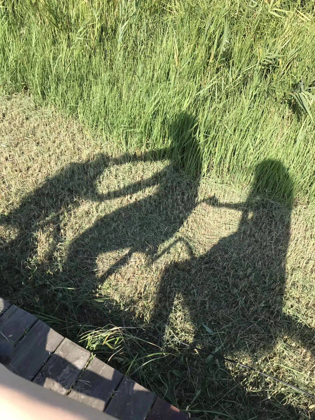 纸质火车票退场<strong></p>
<p>加密货币交易所</strong>,每道折痕里都藏着远方、爱情与山河记忆