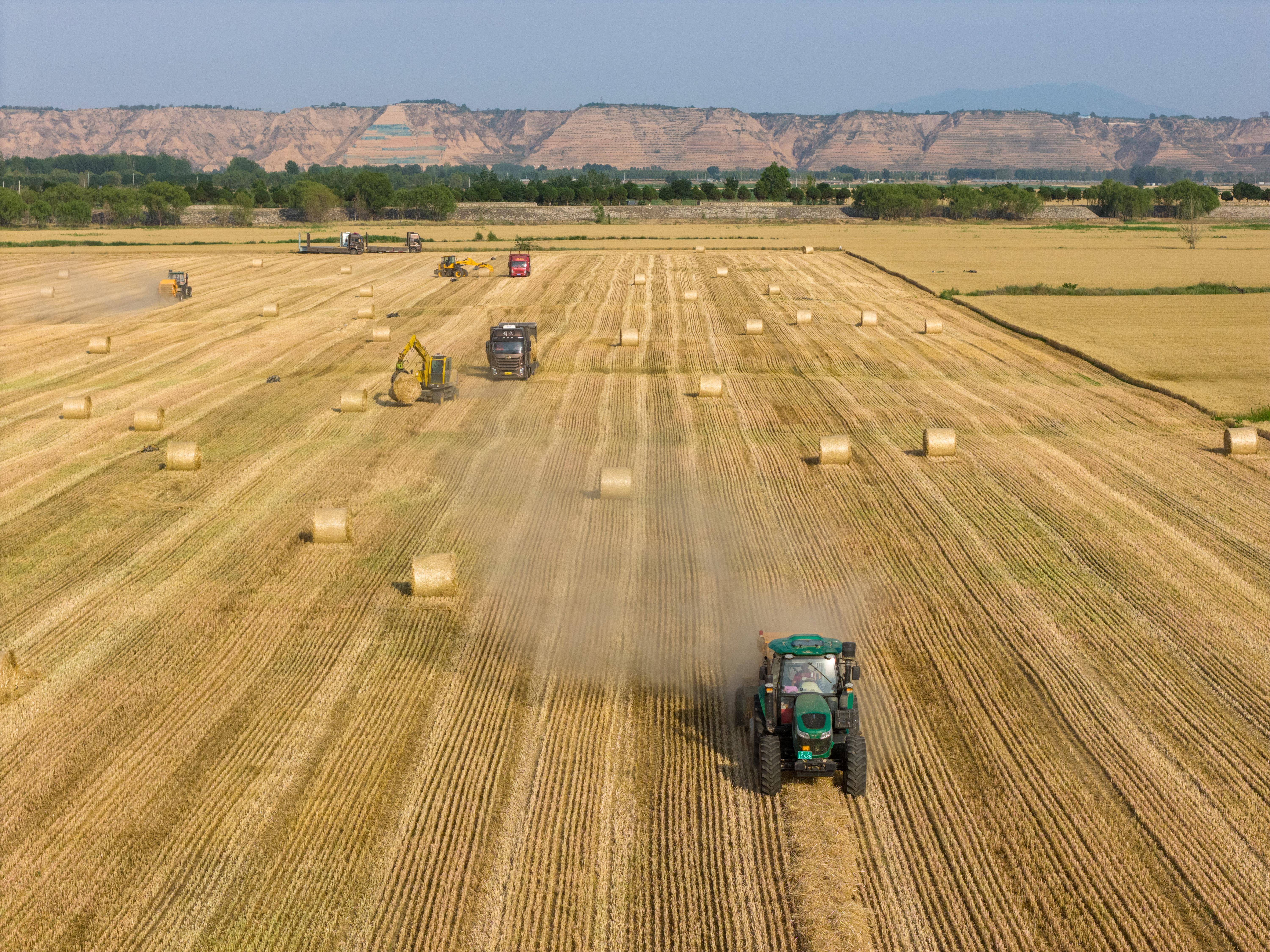 时政微观察丨为<strong></p>
<p>加密货币行情</strong>了前无古人的伟大事业
