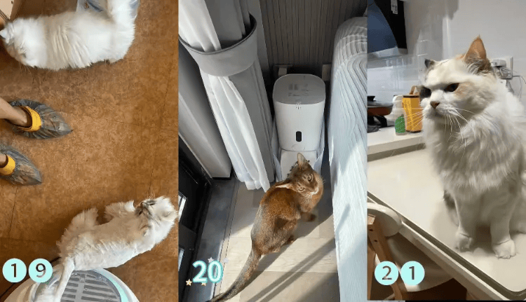 这个需求激增!一男子连接270单<strong></p>
<p>加密货币</strong>,其中一笔收费8100元