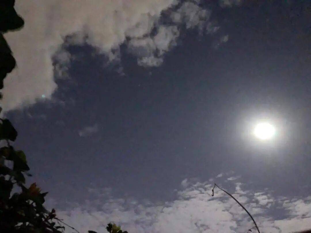 没有什么能阻挡!今天<strong></p>
<p>加密货币</strong>,广西人就是要回家!