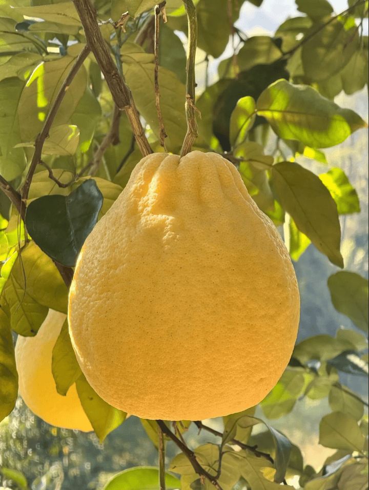 没有什么能阻挡!今天<strong></p>
<p>加密货币</strong>,广西人就是要回家!