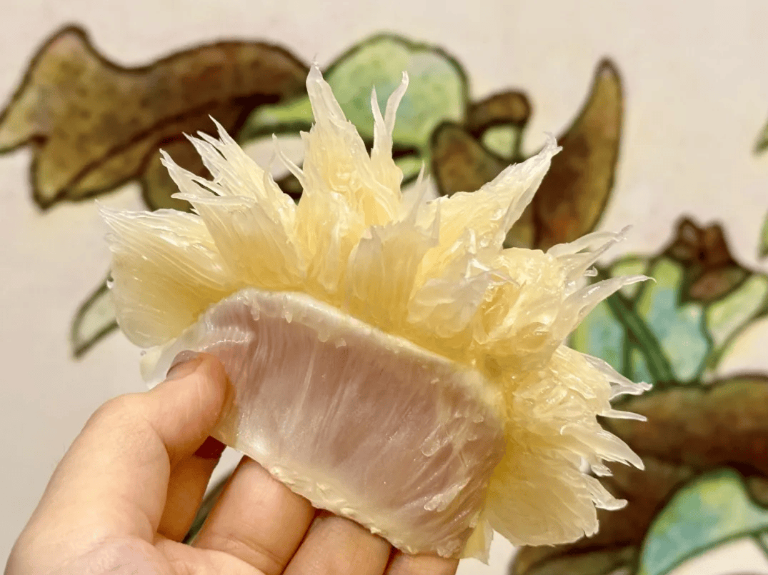 没有什么能阻挡!今天<strong></p>
<p>加密货币</strong>,广西人就是要回家!