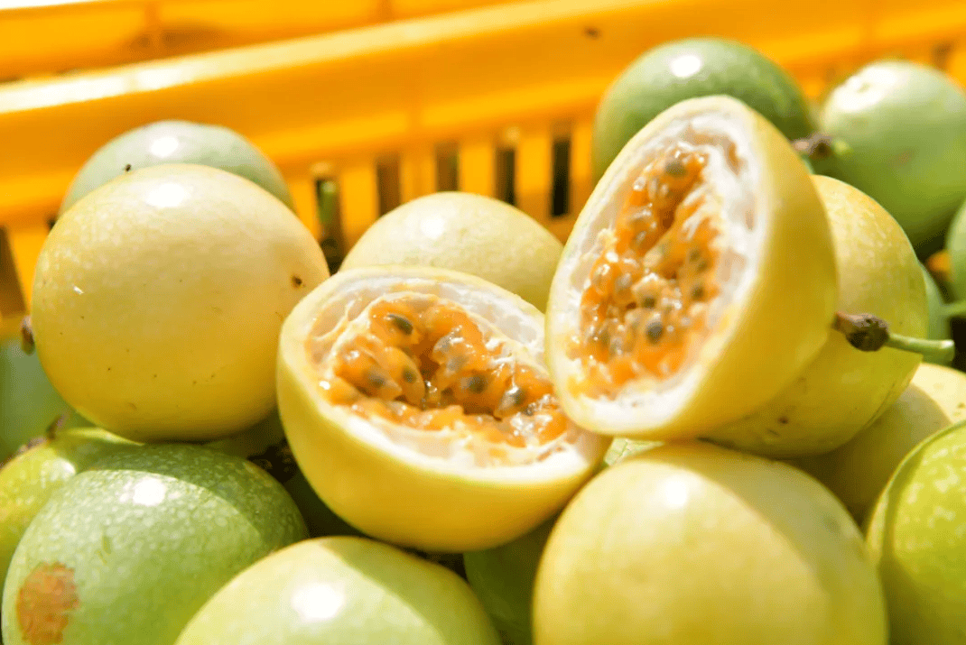 没有什么能阻挡!今天<strong></p>
<p>加密货币</strong>,广西人就是要回家!