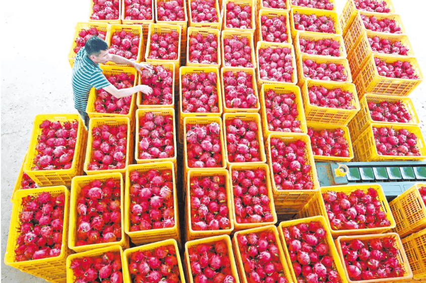 没有什么能阻挡!今天<strong></p>
<p>加密货币</strong>,广西人就是要回家!