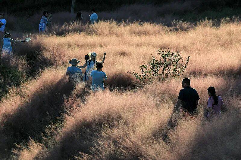 打卡拍照<strong></p>
<p>加密货币钱包</strong>,再美也不能用生命对焦