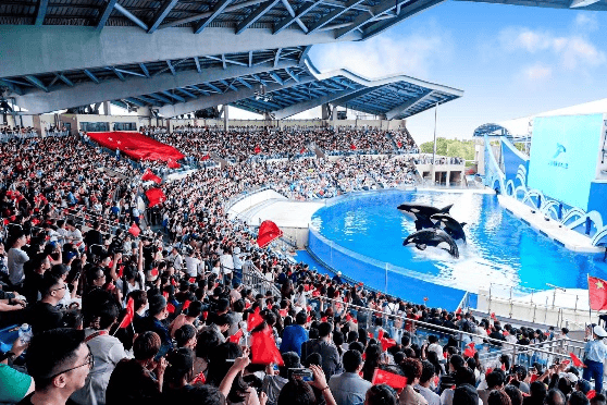 第36届上海旅游节闭幕，接待市民游客人数和旅游消费交易额均刷新纪录