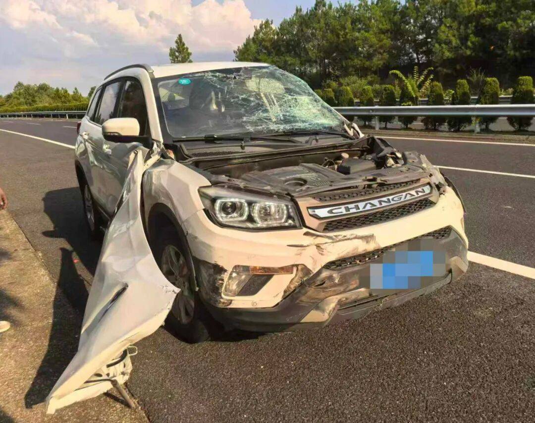 司机强行变道酿大祸<strong></p>
<p>加密货币价格</strong>,反诬赖对方:“我要是撒谎就天打雷劈!”