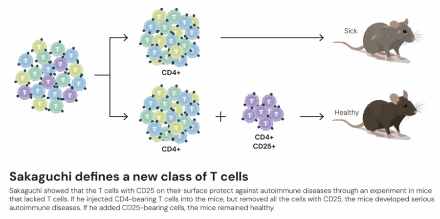 这个诺奖迟到了30年<strong></p>
<p>加密货币概念股</strong>!三位科学家揭示免疫系统如何避免“自相残杀”