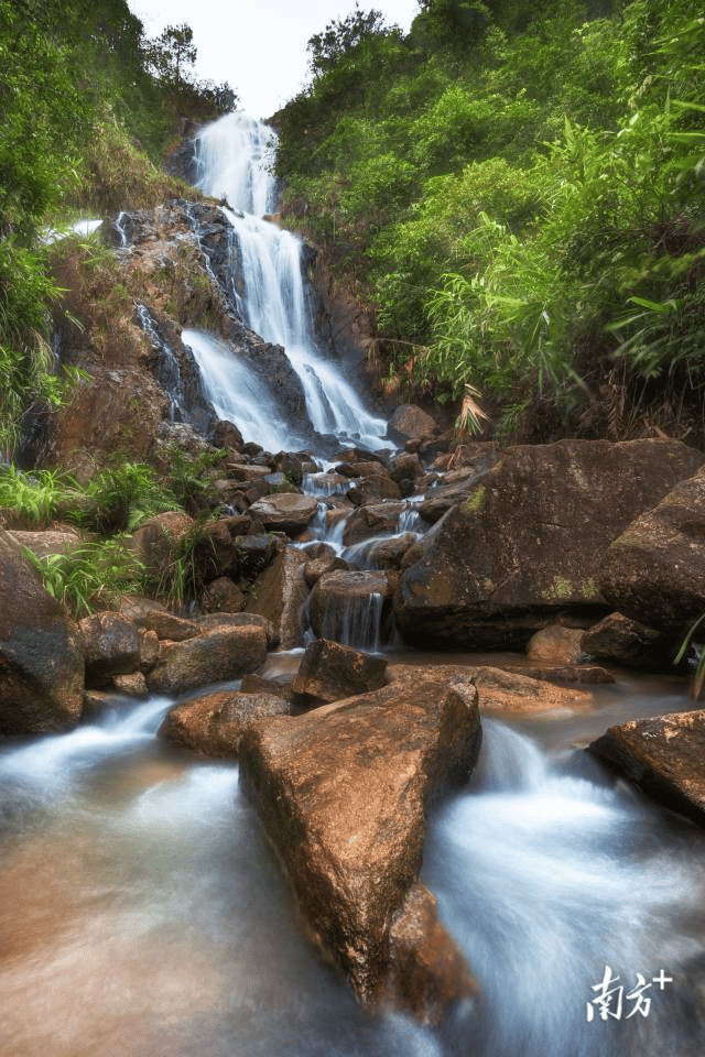 镇街周报|佛山“双节”文旅成绩单出炉<strong></p>
<p>抹茶交易所</strong>,谁最吸睛