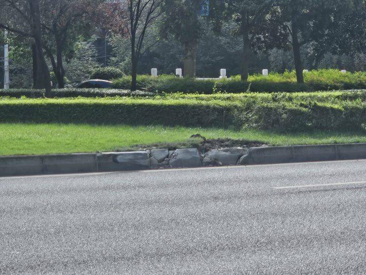 成都发生一起严重交通事故<strong></p>
<p>抹茶交易所</strong>,上游新闻实地探访:燃烧留下的印记仍在