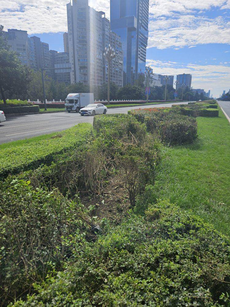 成都发生一起严重交通事故<strong></p>
<p>抹茶交易所</strong>,上游新闻实地探访:燃烧留下的印记仍在