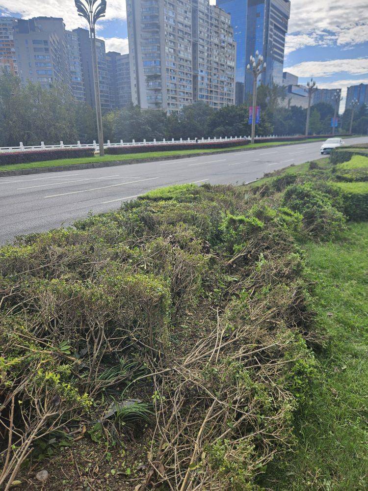 成都发生一起严重交通事故<strong></p>
<p>抹茶交易所</strong>,上游新闻实地探访:燃烧留下的印记仍在