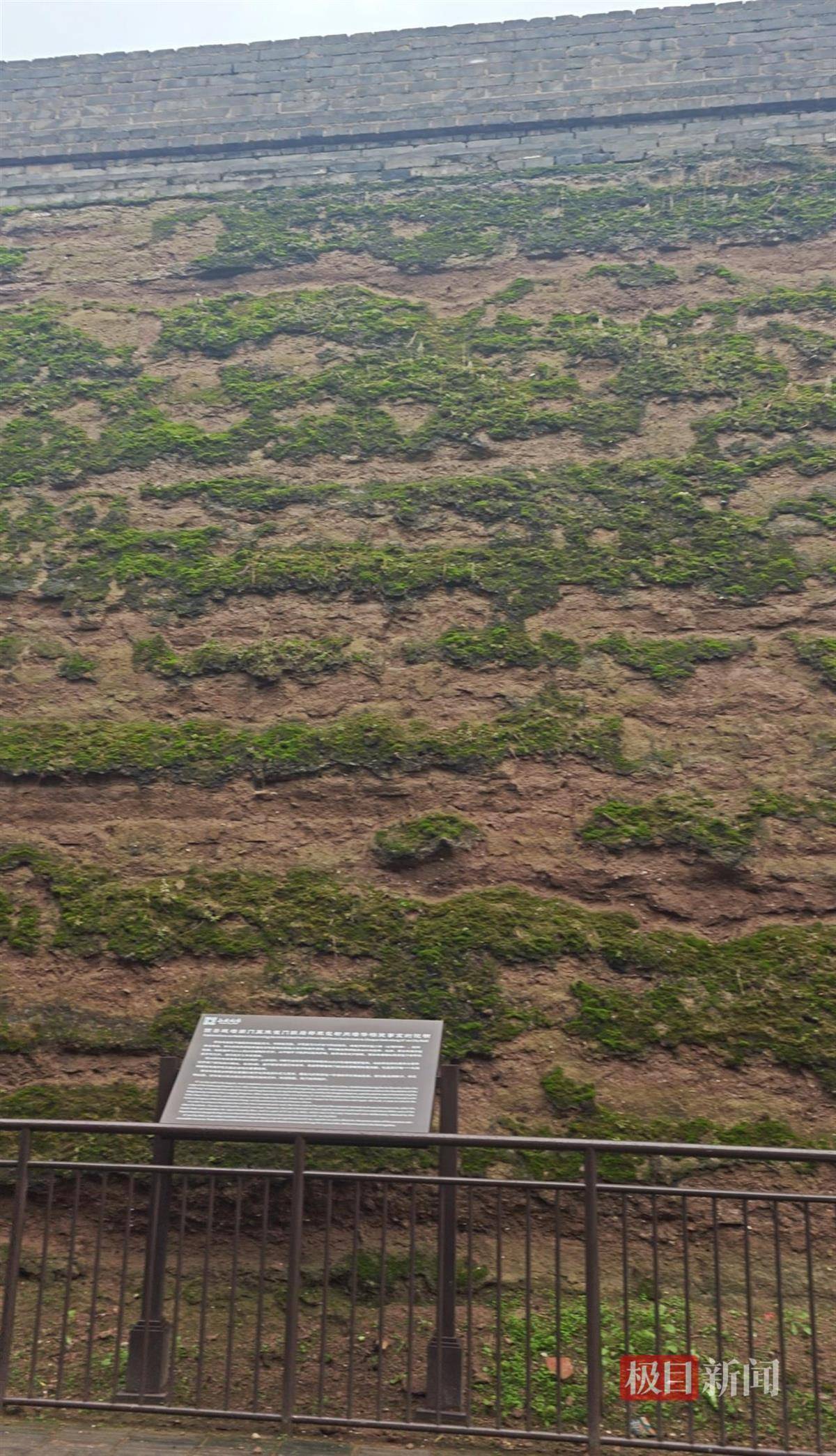 西安连续一个多月降雨遍地长蘑菇<strong></p>
<p>抹茶交易所</strong>,大雁塔受潮,城墙布满青苔,气象局解释成因