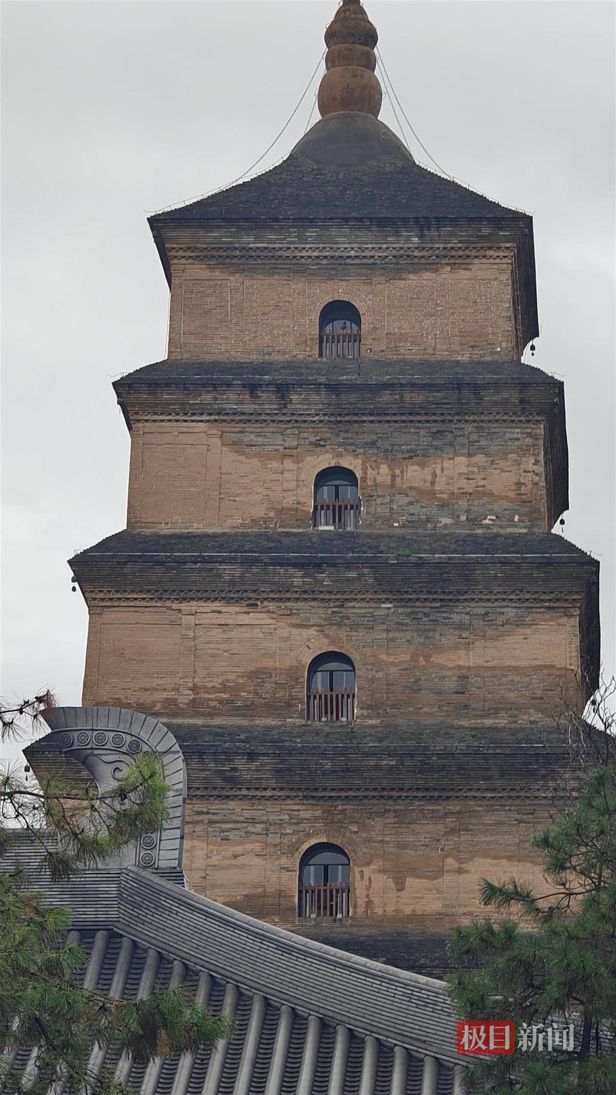 西安连续一个多月降雨遍地长蘑菇<strong></p>
<p>抹茶交易所</strong>,大雁塔受潮,城墙布满青苔,气象局解释成因