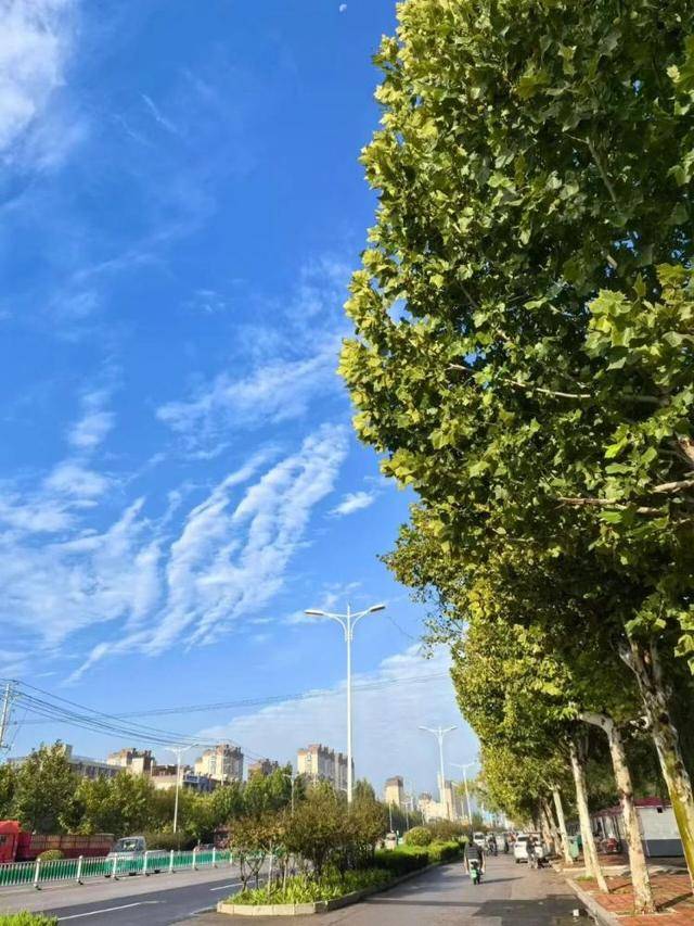 济南<strong></p>
<p>抹茶交易所</strong>,转晴!山东,转晴!好久不见的太阳,来了!