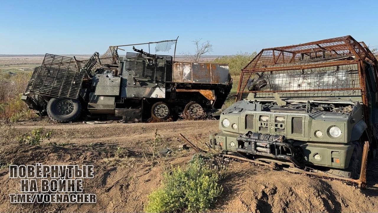 不再伪装<strong></p>
<p>抹茶交易所</strong>,意大利露出了真面目:北约准备参战,俄乌将迎来大结局