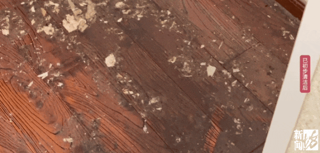 上海一业主推开家门瞬间懵了<strong></p>
<p>抹茶交易所</strong>!精装房竟成“化粪池”……