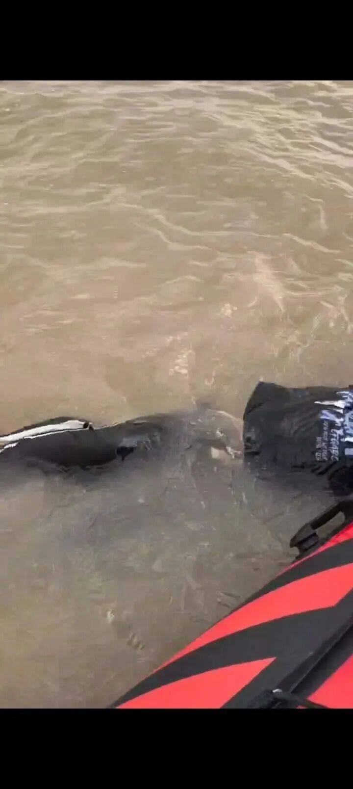 230斤重小伙酒后落水<strong></p>
<p>抹茶交易所</strong>,漂浮7小时终获救……