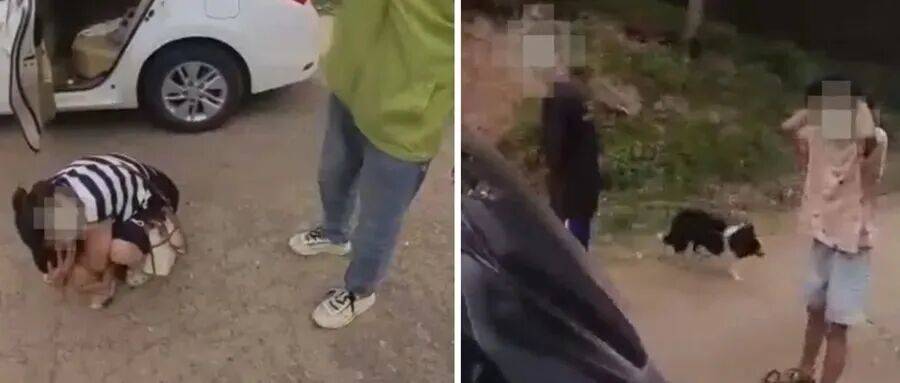 深圳一市民突遭马蜂围袭!已进入高发期<strong></p>
<p>抹茶交易所</strong>,千万别招惹!