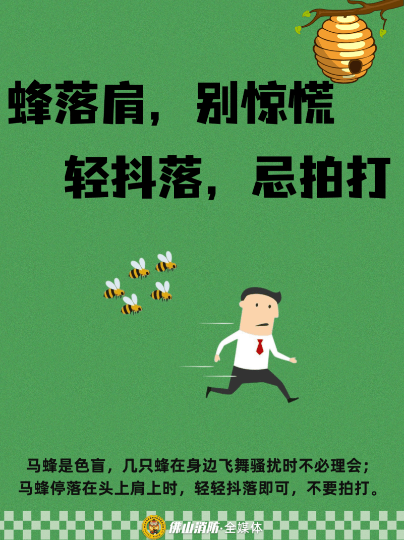 深圳一市民突遭马蜂围袭!已进入高发期<strong></p>
<p>抹茶交易所</strong>,千万别招惹!