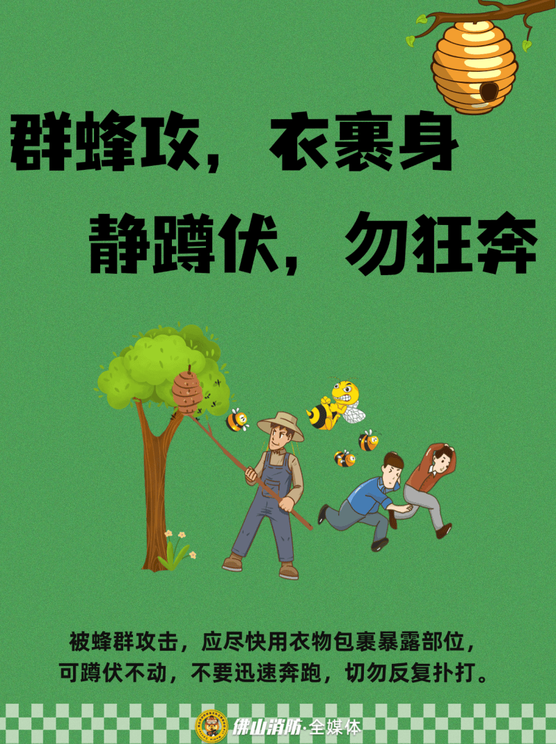 深圳一市民突遭马蜂围袭!已进入高发期<strong></p>
<p>抹茶交易所</strong>,千万别招惹!