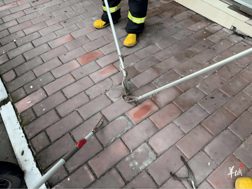 广州一小区蛇患频发:已抓超60条但未探测到蛇窝位置<strong></p>
<p>区块链</strong>,多方介入