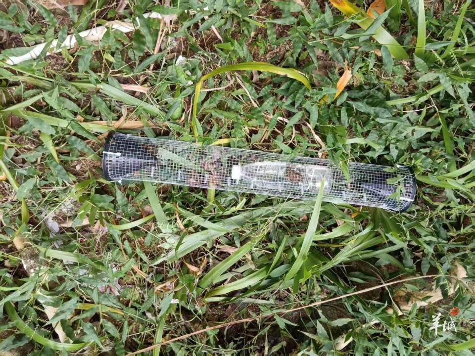 广州一小区蛇患频发:已抓超60条但未探测到蛇窝位置<strong></p>
<p>区块链</strong>,多方介入