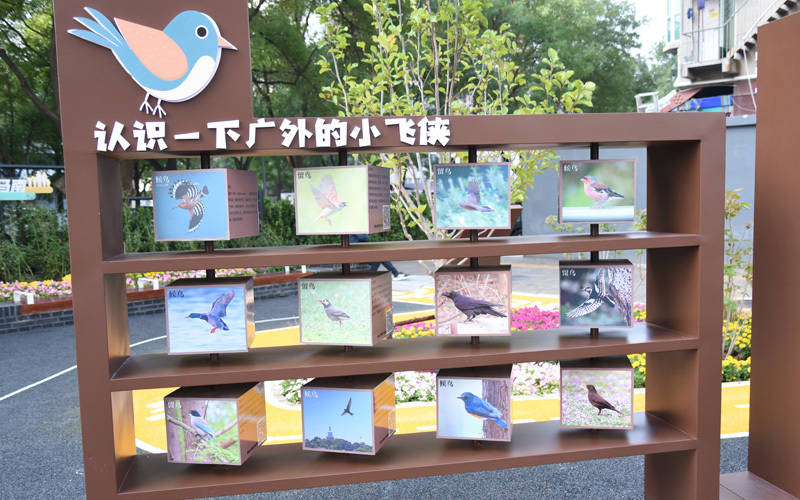 西城区广外街道:“断头路”变身口袋公园<strong></p>
<p>区块链技术开发</strong>,装满民生“微幸福”