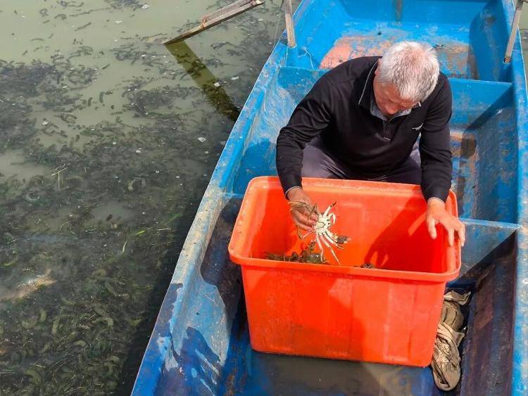 武汉江夏一地大闸蟹大量上市<strong></p>
<p>瑞波币今日行情</strong>,日产1000斤当天售完,每只螃蟹有自己的“身份证”,吃深海小黄鱼长大