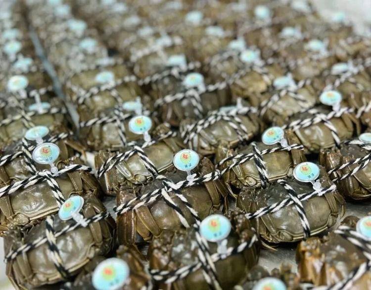 武汉江夏一地大闸蟹大量上市<strong></p>
<p>瑞波币今日行情</strong>,日产1000斤当天售完,每只螃蟹有自己的“身份证”,吃深海小黄鱼长大