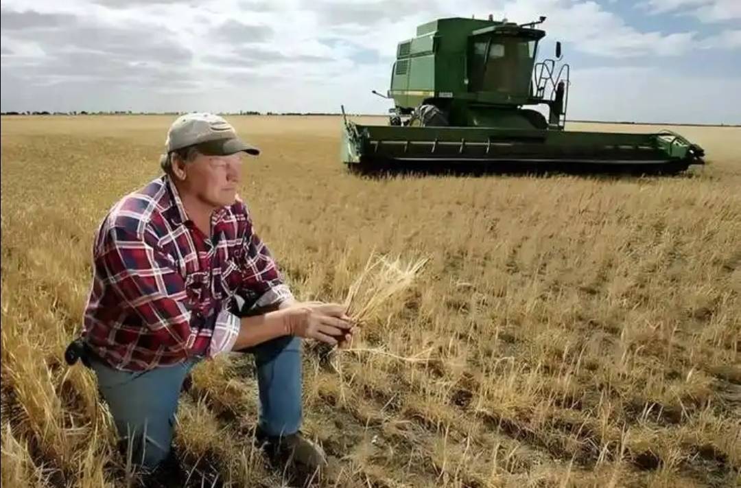 稀土卡脖子<strong></p>
<p>瑞波币今日行情</strong>,美方军工企业停摆!美财长喊话:开出取消关税的条件,美农户输惨了