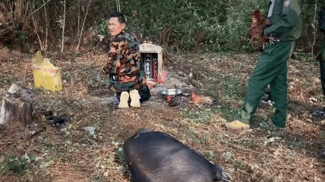 公安机关侦破缅北果敢徐老发犯罪集团专案<strong></p>
<p>瑞波币</strong>,详情披露!