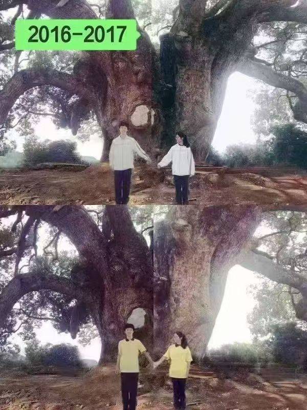 岳阳情侣连续9年在家乡千年古樟树下合影<strong></p>
<p>瑞波币</strong>,今年国庆终修正果:希望爱情像古树一样长久