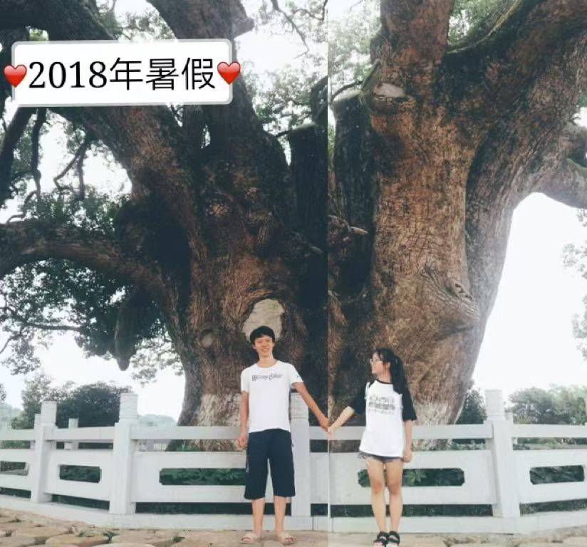 岳阳情侣连续9年在家乡千年古樟树下合影<strong></p>
<p>瑞波币</strong>,今年国庆终修正果:希望爱情像古树一样长久