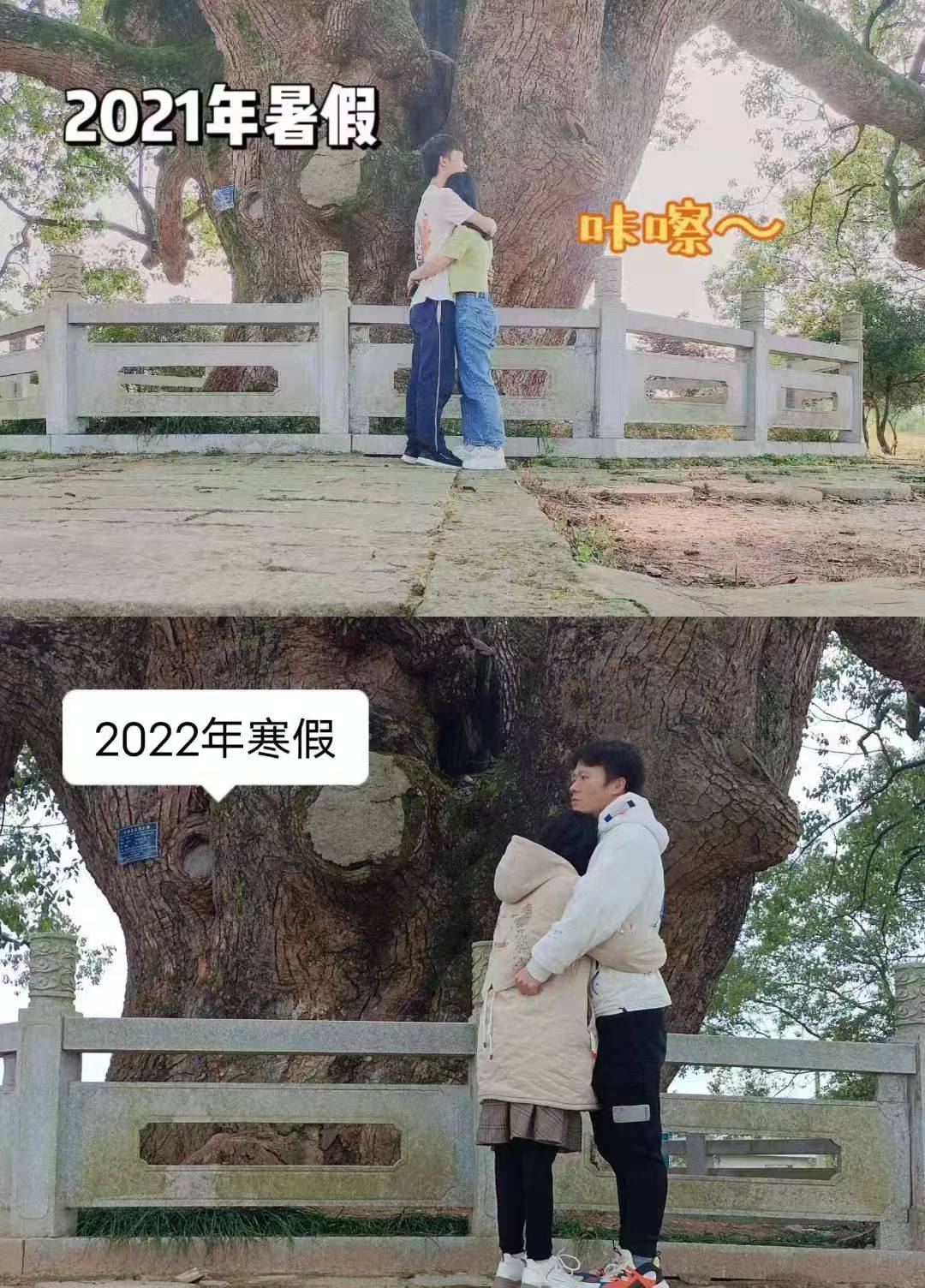 岳阳情侣连续9年在家乡千年古樟树下合影<strong></p>
<p>瑞波币</strong>,今年国庆终修正果:希望爱情像古树一样长久