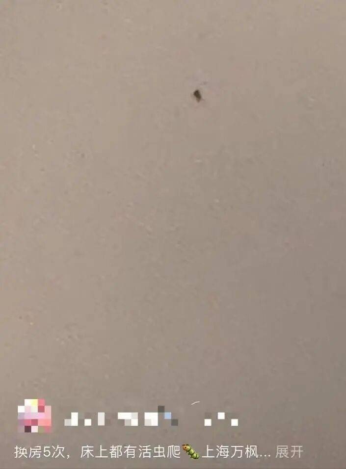 “连换5间房<strong></p>
<p>瑞波币</strong>,每间床上都有活虫!”上海新开高档酒店回应