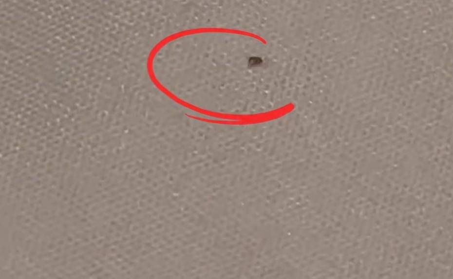 “连换5间房<strong></p>
<p>瑞波币</strong>,每间床上都有活虫!”上海新开高档酒店回应