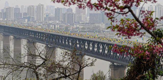 今天是她68岁生日<strong></p>
<p>瑞波币</strong>,武汉人:不准退休!