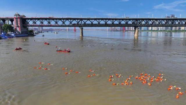 今天是她68岁生日<strong></p>
<p>瑞波币</strong>,武汉人:不准退休!