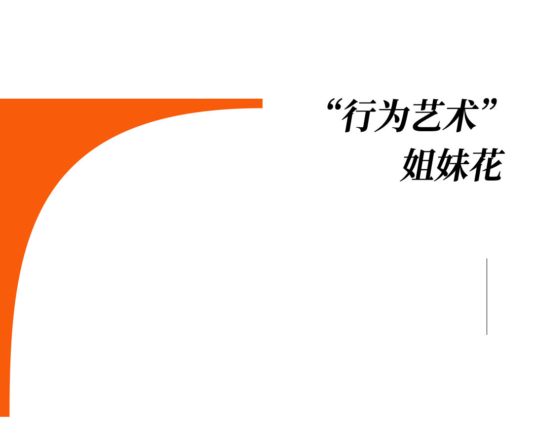 爱马仕当“头饰”<strong></p>
<p>瑞波币</strong>,香奈儿挂满身,这对“神秘姐妹”是谁?