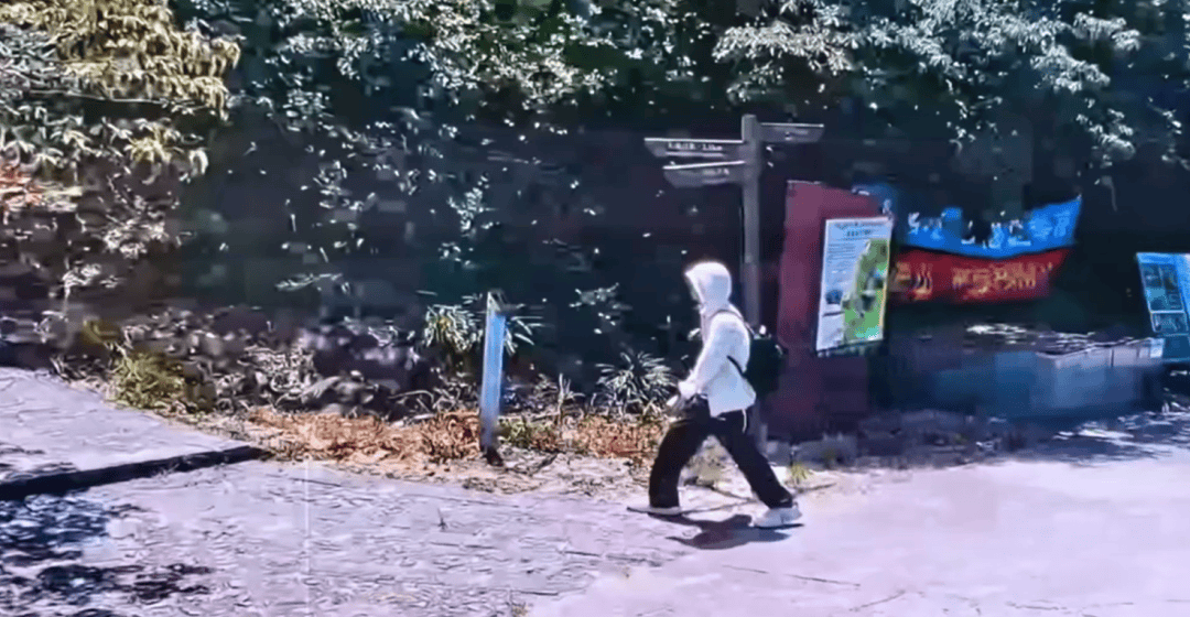 深圳登山失联约70天<strong></p>
<p>瑞波币最新消息</strong>,27岁男子遗体疑被找到已遇难,其位于一块大石头下,家属回应