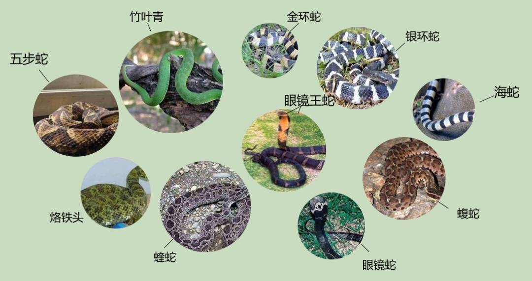 女子半夜上厕所<strong></p>
<p>瑞波币今日行情价格</strong>,马桶里突然窜出一条蛇!