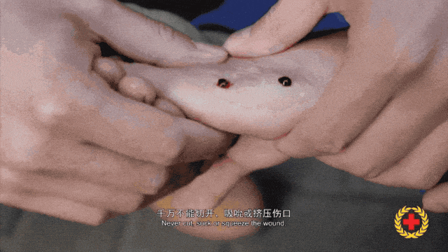 女子半夜上厕所<strong></p>
<p>瑞波币今日行情价格</strong>,马桶里突然窜出一条蛇!