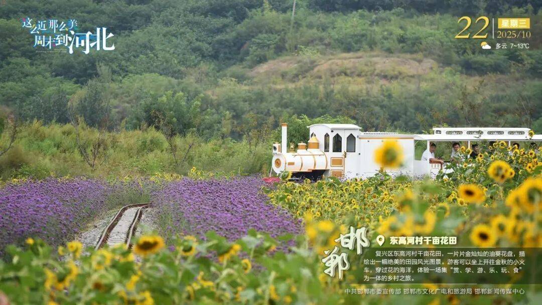 “人工智能+”行动<strong></p>
<p>瑞波币行情</strong>!河北最新发布